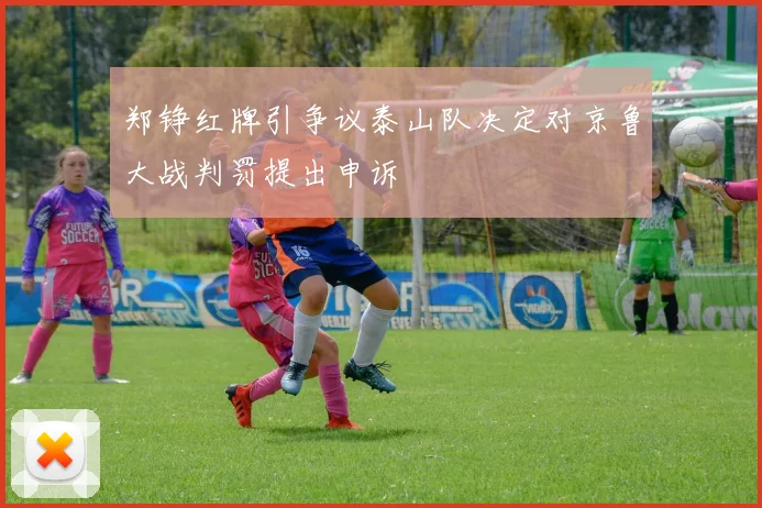郑铮红牌引争议泰山队决定对京鲁大战判罚提出申诉