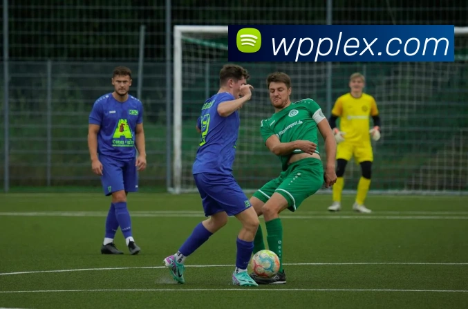 奖项证书